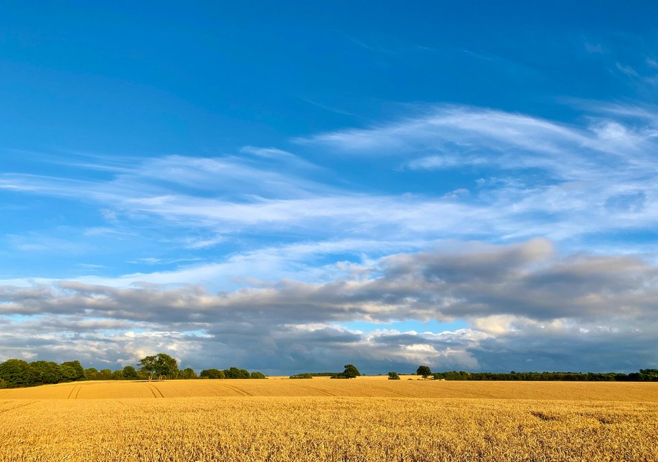 Official Searches and Land Registry Services